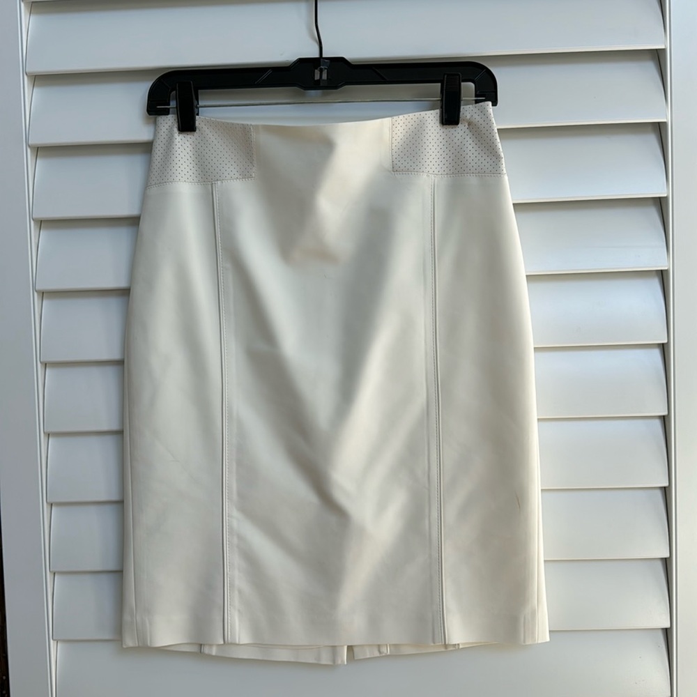 Club Monaco Skirt